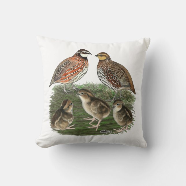Bobwhite Quail Family Cushion (Front)