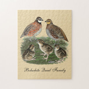 Bobwhite Quail Family Jigsaw Puzzle