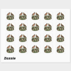 Bobwhite Quail Family Square Sticker