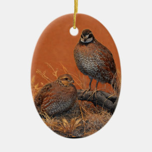 Bobwhite Quail (Georgia, Missouri and Tennessee) Ceramic Ornament