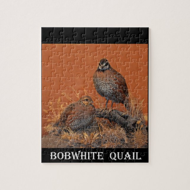Bobwhite Quail (Georgia, Missouri and Tennessee) Jigsaw Puzzle (Vertical)