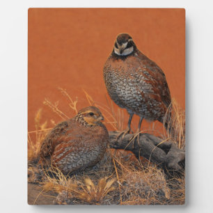 Bobwhite Quail (Georgia, Missouri and Tennessee) Plaque