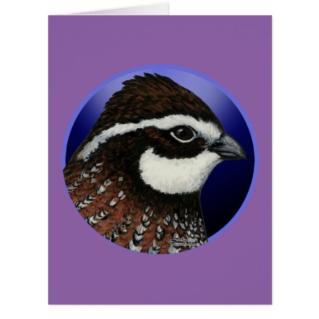 Bobwhite Quail Head Circle (Front)