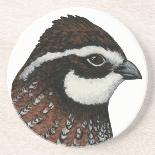 Bobwhite Quail Head Coaster