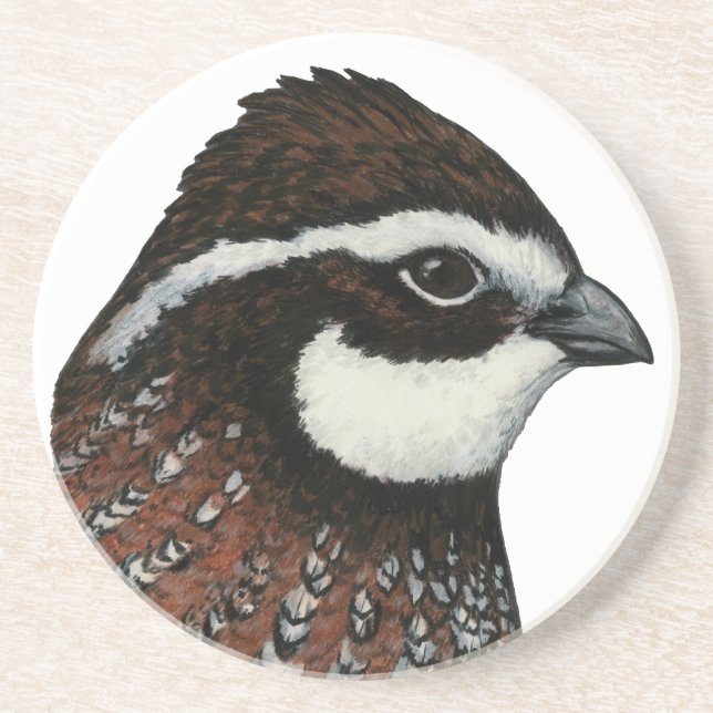 Bobwhite Quail Head Coaster (Front)