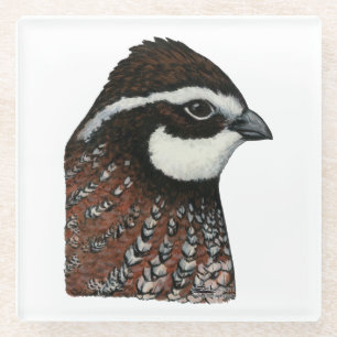 Bobwhite Quail Head Glass Coaster