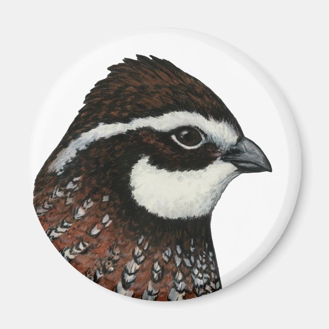 Bobwhite Quail Head Magnet (Front)