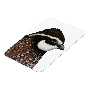 Bobwhite Quail Head Magnet