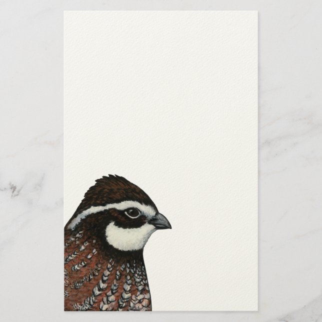 Bobwhite Quail Head Stationery (Front)
