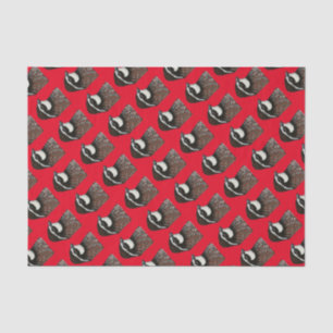 Bobwhite Quail Head Tissue Paper