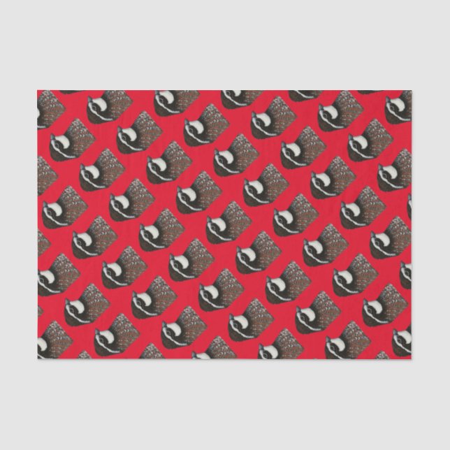 Bobwhite Quail Head Tissue Paper (Front)