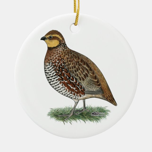 Bobwhite Quail Hen Ceramic Tree Decoration (Front)