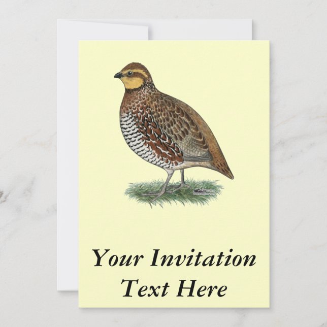 Bobwhite Quail Hen Invitation (Front)