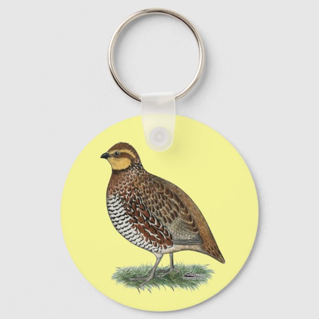 Bobwhite Quail Hen Key Ring (Front)