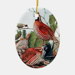 Bobwhite Quail Ornament