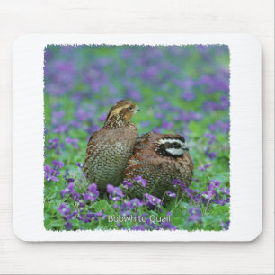 Bobwhite Quail Photography Mouse Pad
