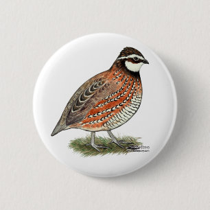 Bobwhite Quail Rooster 6 Cm Round Badge