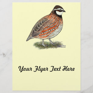 Bobwhite Quail Rooster Flyer