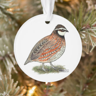 Bobwhite Quail Rooster Ornament