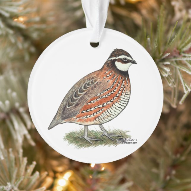 Bobwhite Quail Rooster Ornament (Tree)