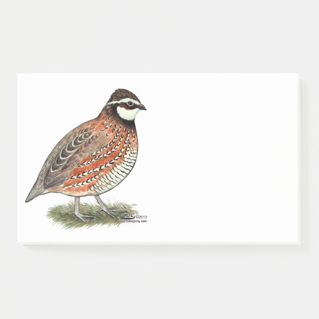 Bobwhite Quail Rooster Post-it Notes (Front)