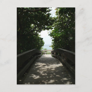 Boca Beach Boardwalk Postcard
