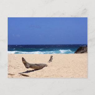 Boca Mahos Postcard