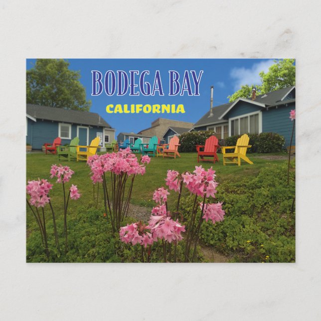 Bodega Bay  Bodega Harbour Inn Postcard (Front)