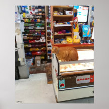Bodega Cat Canvas Print