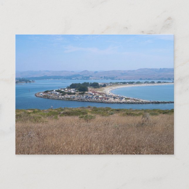 Bodega Harbour and Doran Park Postcard (Front)