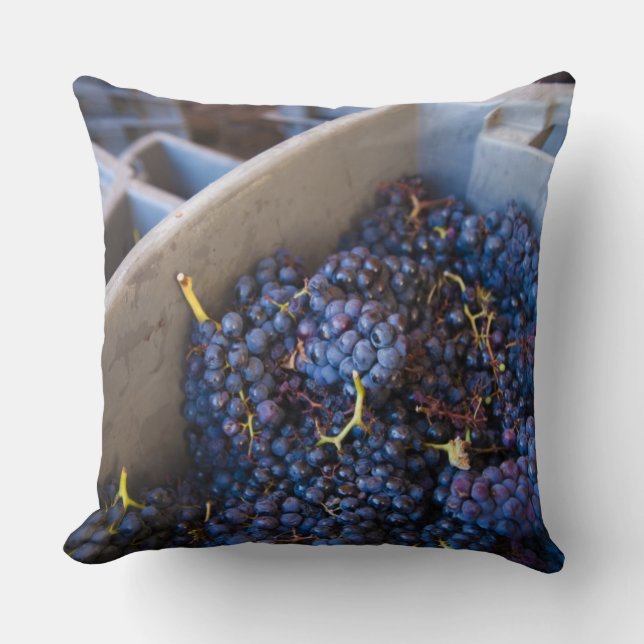 Bodega Marques de Riscal winery, grapes Cushion (Front)
