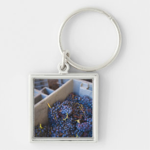 Bodega Marques de Riscal winery, grapes Key Ring