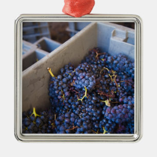 Bodega Marques de Riscal winery, grapes Metal Ornament