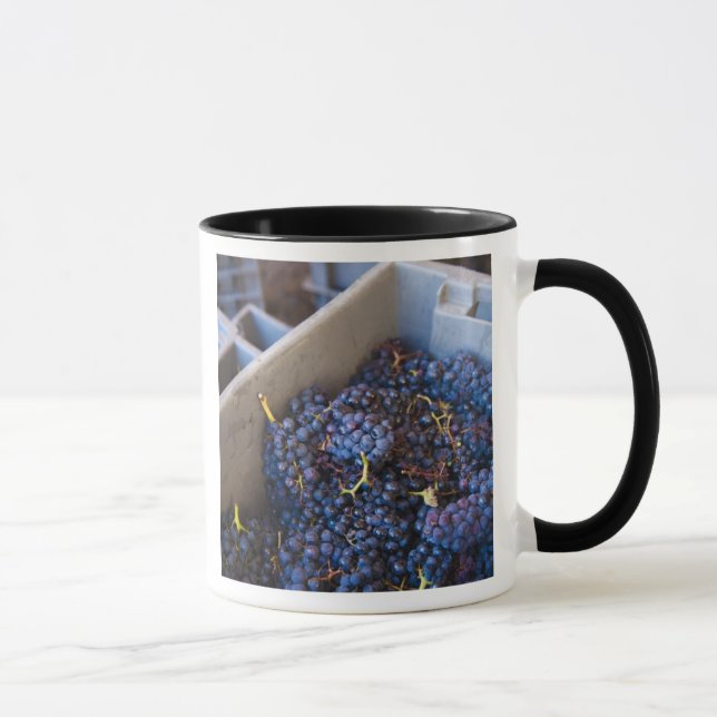 Bodega Marques de Riscal winery, grapes Mug (Right)