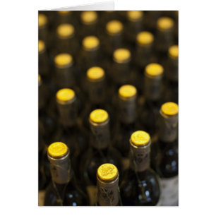 Bodega Marques de Riscal winery, wine bottles