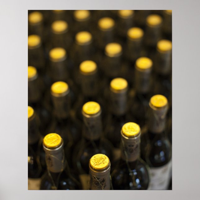 Bodega Marques de Riscal winery, wine bottles Poster (Front)