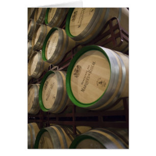Bodega Marques de Riscal winery, wine cellar