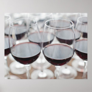 Bodega Marques de Riscal winery, wine tasting 3 Poster