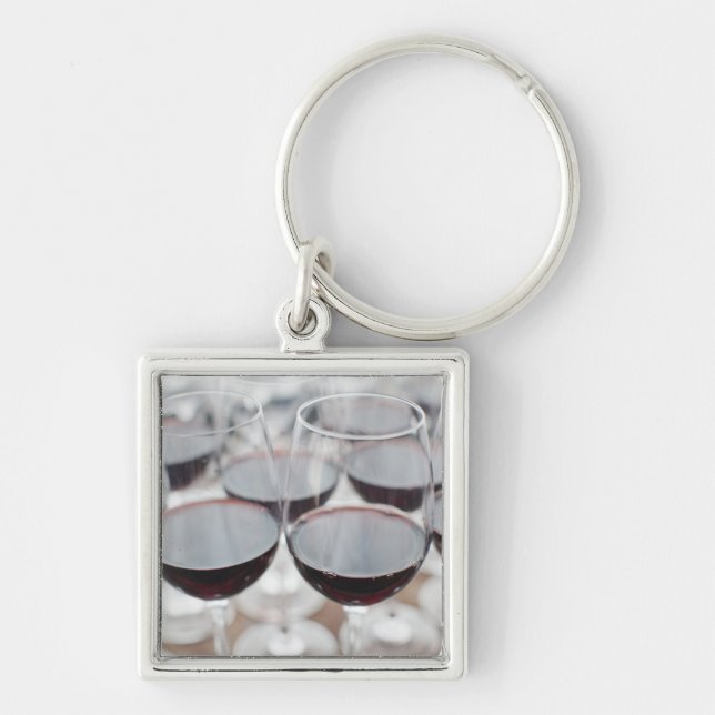 Bodega Marques de Riscal winery, wine tasting Key Ring (Front)