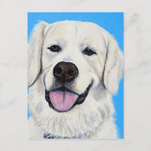 Bodie - Golden Retriever Postcard