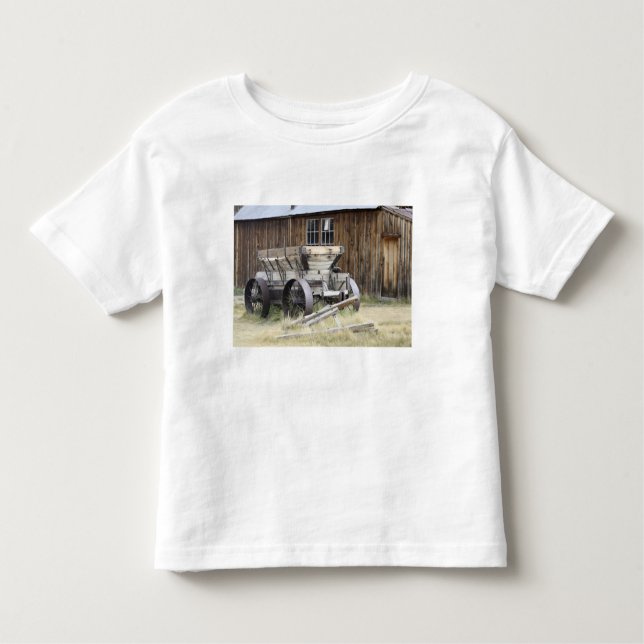 Bodie State Historic Park, CA Toddler T-Shirt (Front)