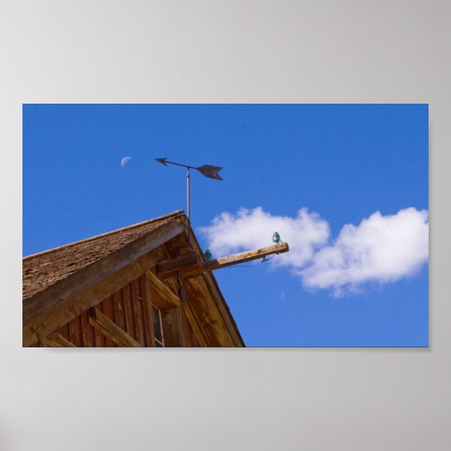 Bodie Weather Vane and Moon Colour Poster (Front)