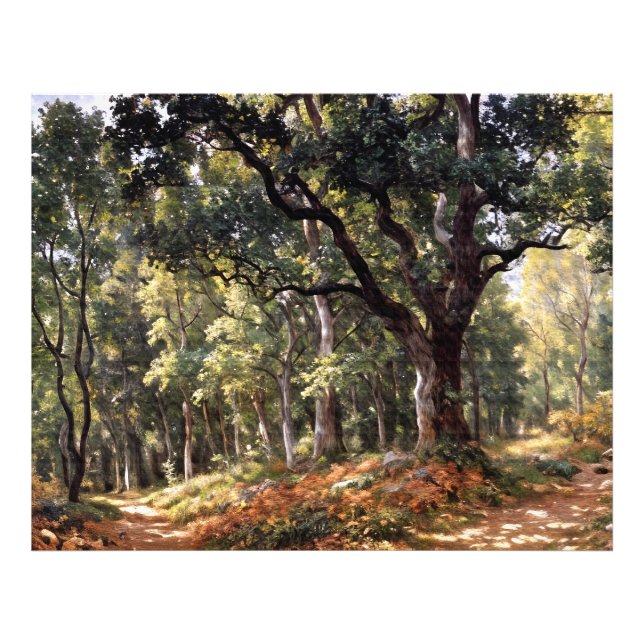 Bodmer Oak Photo Print (Front)