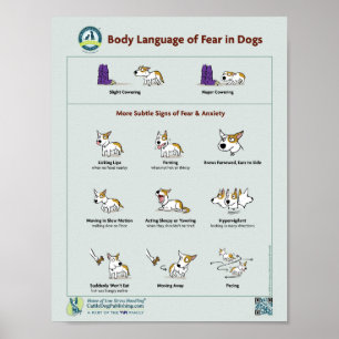 Body Language of Fear in Dogs Poster