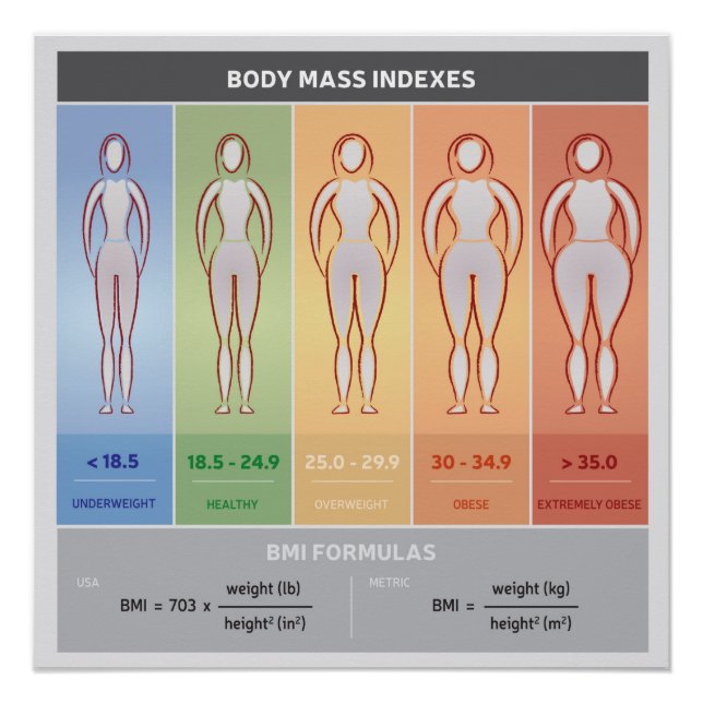 Body Mass Index Illustration with Body Silhouettes Poster (Front)