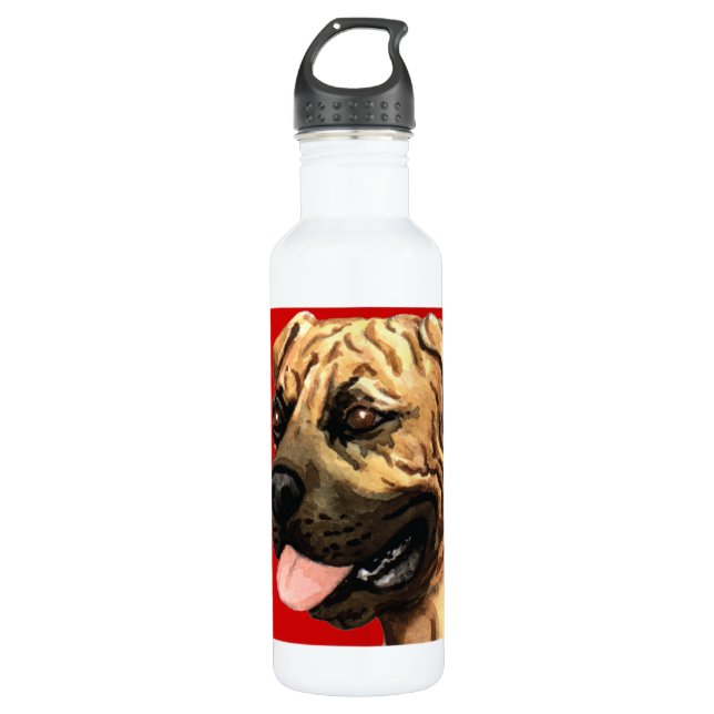 Boerboel Colour Block 710 Ml Water Bottle (Front)