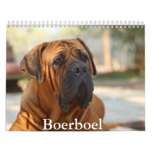 Boerboel dog Calendar