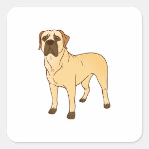 Boerboel dog square sticker