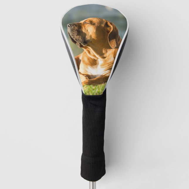 Boerboel Golf Head Cover (Front)