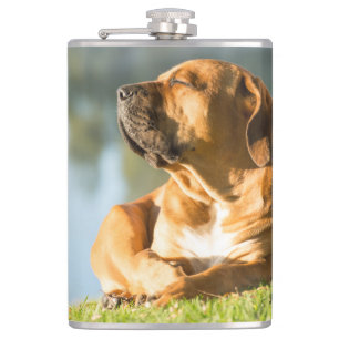 Boerboel Hip Flask